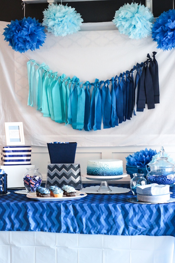 Blue Ombre Birthday Party Decorations