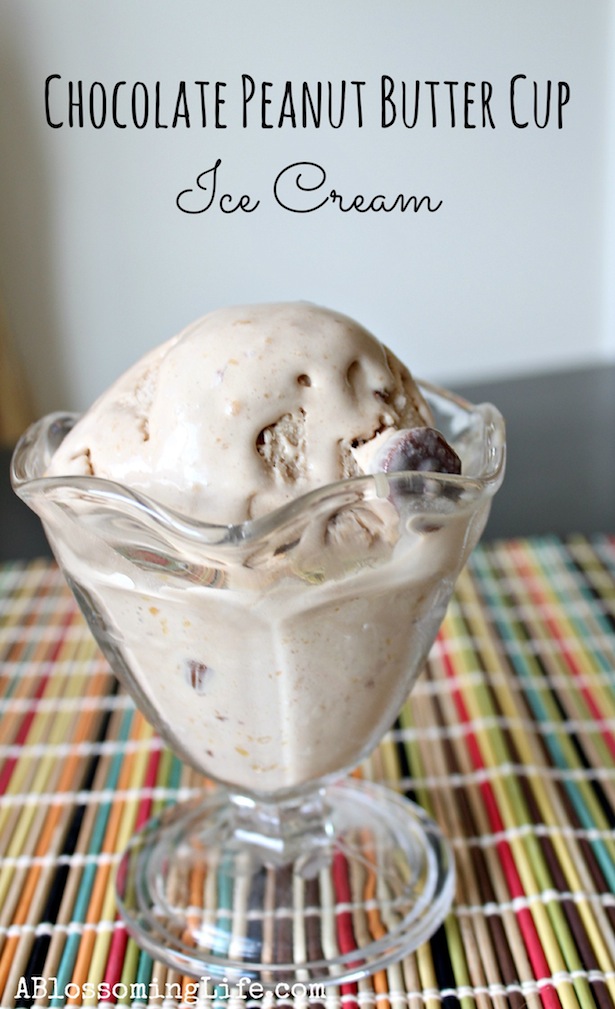 Inspiring Projects - Chocolate Peanut Butter Cup Ice Cream