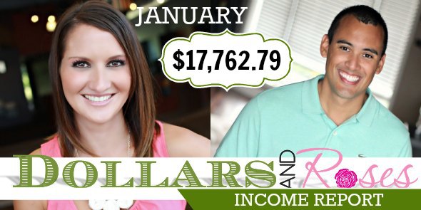 DR Income Reports Jan 2013