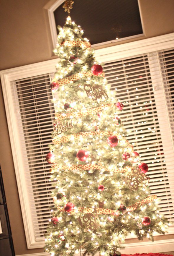 bokeh christmas tree lights tree picture