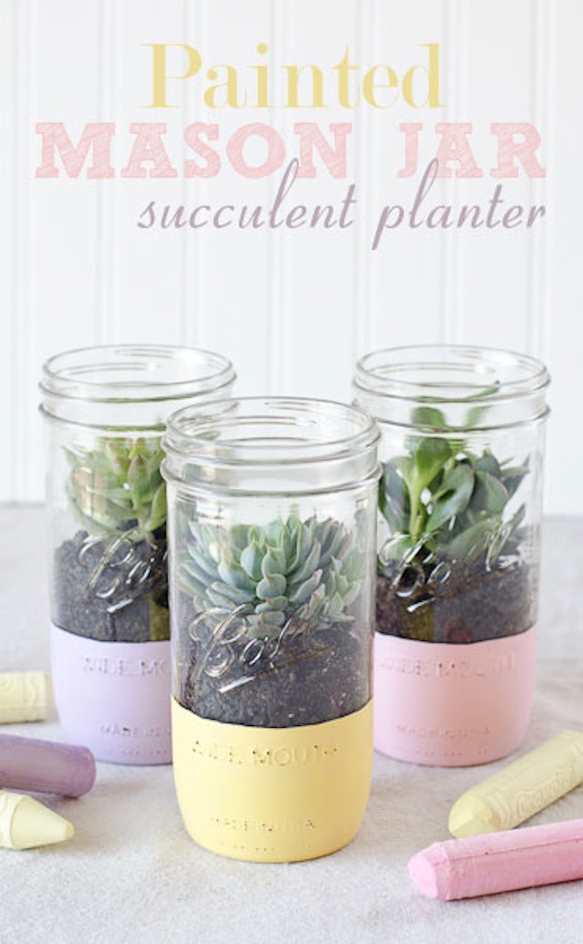 painted-mason-jar-succulent-planter-graphic