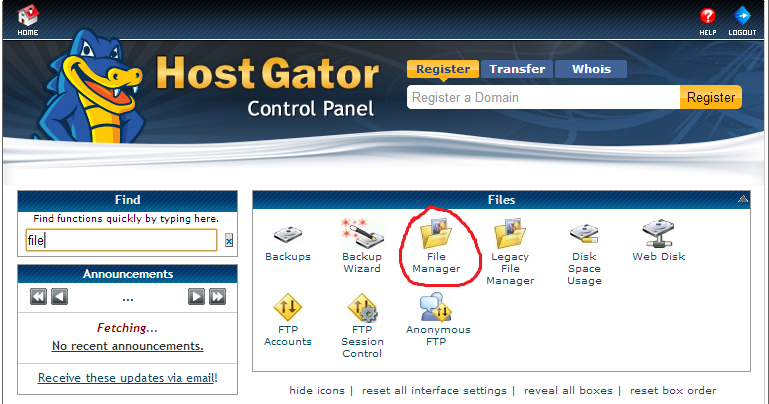 Open cPanel File Manager