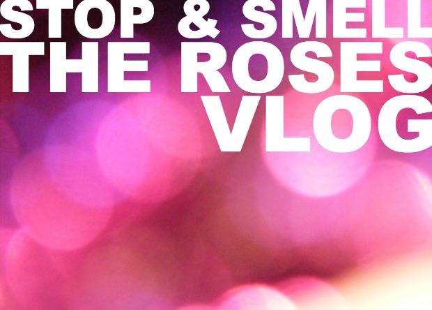 stop and smell the roses vlog